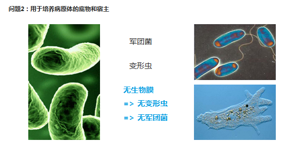 游泳池過(guò)濾濾料,游泳池水處理濾料,水處理濾料